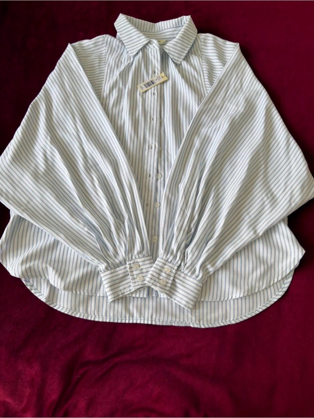 Max Studio Relaxed Striped Button-Down Shirt in Light Blue and White size M